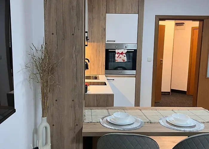 Apartman Millennium *